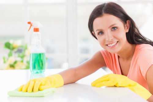 Carpet cleaner inspecting a room before starting work