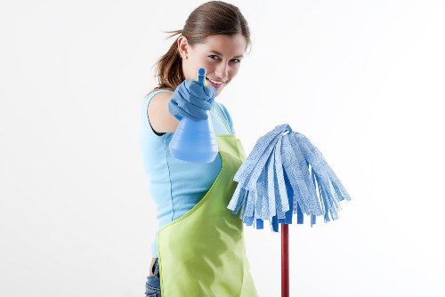 Carpet cleaners in Brent introducing professional carpet care services