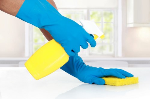 Professional carpet cleaning service in a Brent home