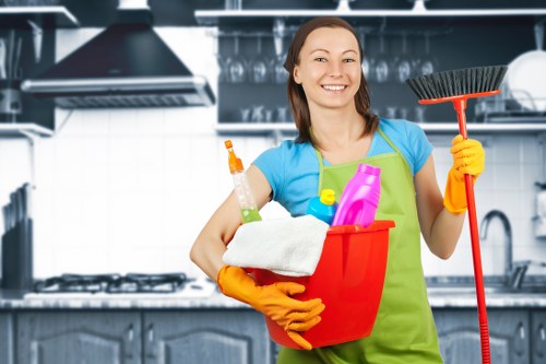 Professional oven cleaning service for homes in Brent