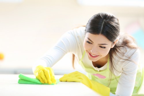 Example carpet cleaning jobs in Brent property types