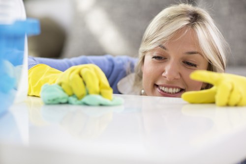 Local cleaner maintaining a flat in Brent