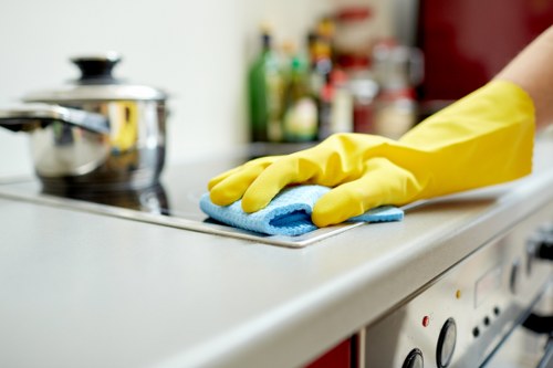 Deep cleaning of an oven interior and racks in Brent