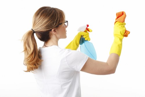 Kitchen oven cleaning for a flat or house in Brent
