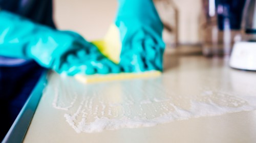 Specialist cleaning equipment used for pet stain removal in Brent