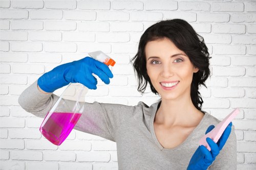 Carpet cleaning process in progress inside a property