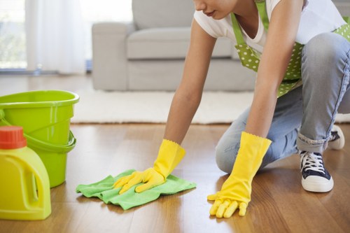 Domestic cleaning team working in a residential property in Brent